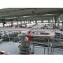 Chain Plate Screw Conveyor
